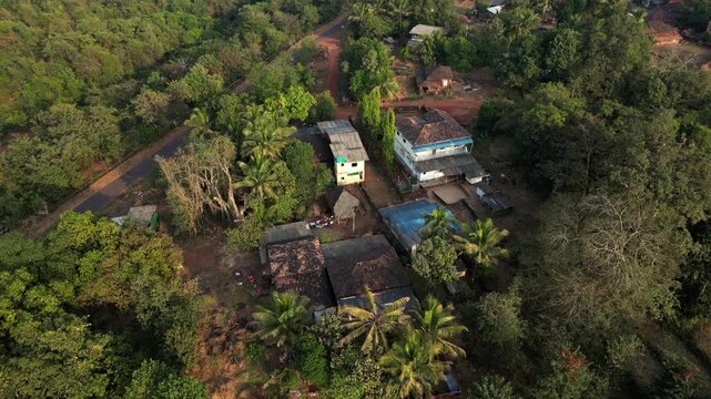 village homes ariel upwards shot with cocount trees