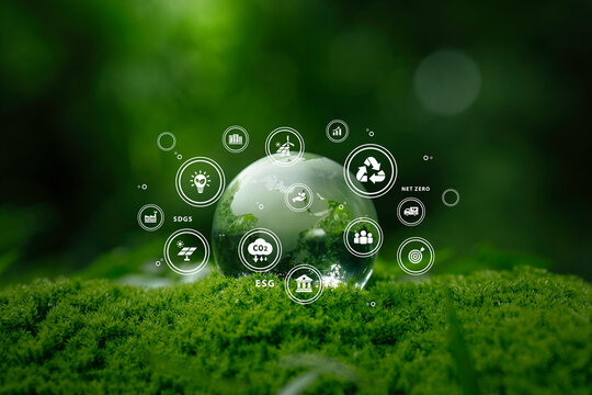 Sustainable environment concept with glass globe on green moss,   renewable energy, CO2 reduction, and net zero goals for global sustainability and eco-friendly business. Green Supply Chain and ESG