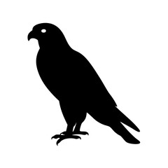 Obraz premium Silhouette of a raven