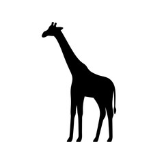 Silhouette of a giraffe
