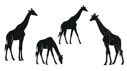 Set of four giraffe silhouettes in different styles, clean vector illustrations. © delly
