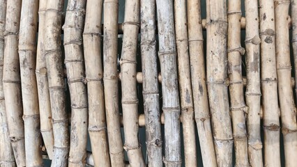 Fototapeta premium Natural bamboo pole texture with repeating pattern, ideal for backgrounds, architecture concepts, eco design, and sustainable material visuals.