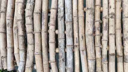 Fototapeta premium Natural bamboo pole texture with repeating pattern, ideal for backgrounds, architecture concepts, eco design, and sustainable material visuals.