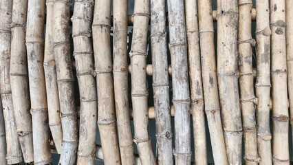 Obraz premium Natural bamboo pole texture with repeating pattern, ideal for backgrounds, architecture concepts, eco design, and sustainable material visuals.