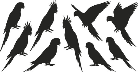 Obraz premium Collection of Tropical Parrot Silhouettes Including Macaws and Cockatoos in Flying and Perched Poses for Exotic Wildlife Nature Design Projects,