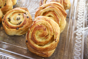 Fototapeta premium Delicious freshly baked raisin swirl danish pastries displayed beautifully on transparent tray evoking sense of warm comforting morning breakfast treat at local bakery shop