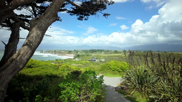 Coastal lookout path framed by windswept trees