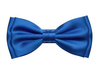 Elegant blue bow tie