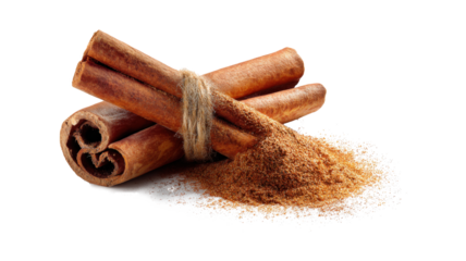 Two Cinnamon Sticks Tied Together With A Spiral Of Powder Around Them isolated on a white background