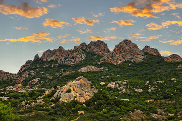 Beautiful landscape photography of ancient granite mountains surrounded by green trees and bushes under a bright colorful sunset sky background