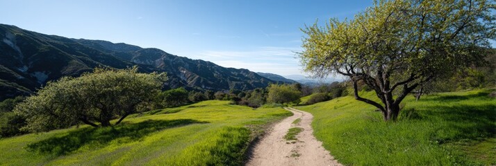 Serene mountain path in lush green valley with clear blue sky