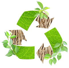 Arrows recycle symbol with bark and green leaf. Reuse, renewable resources. Eco-friendly, Ecology, go green, Green Energy, environmental, zero waste, responsible consumption concept