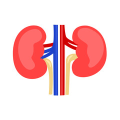 Chronic Kidney Disease with Sodium Concept