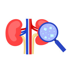Chronic Kidney Disease with Sodium Concept