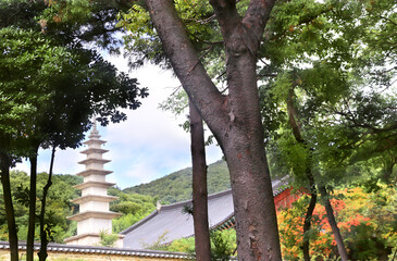 Stone pagoda in Beomeosa Temple in traditional korean style, Busan, South Korea. Autumn landscape in Beomeosa Temple complex, Busan, Republic of Korea. Topic of vacation, travel, cruises and tours