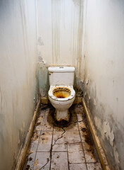 화장실, 양변기, 공중화장실, 더럽다, 지저분하다, 청소, 낡은, 컨셉, 시민의식, 공중도덕, 혐오스럽다, 나이든, 오래된, 사용금지, wc, 위생상태