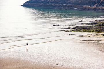 Alone person walking by the waters edge on a sand beach with rolling waves