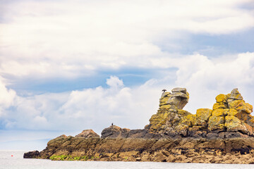 Cormorant bird on a rocky peninsula at sea