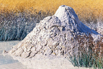 Fumarole heap in a mud pool
