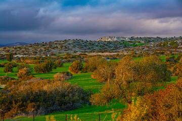 Winter in Cyprus with low stormy cloud, rain, bright green glass, yellow trees under sunset light