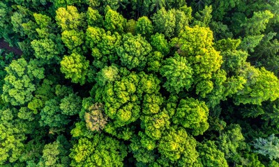 Naklejka premium Hand Writing with Pencil on Paper Against a Sunset Landscape