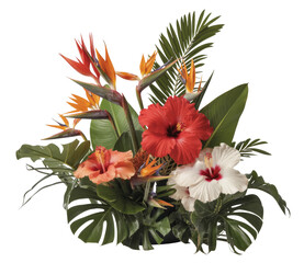 Vibrant Tropical Floral Arrangement Featuring Bird of Paradise, Red, Orange, and White Hibiscus Flowers with Lush Green Monstera and Palm Foliage on a White Background