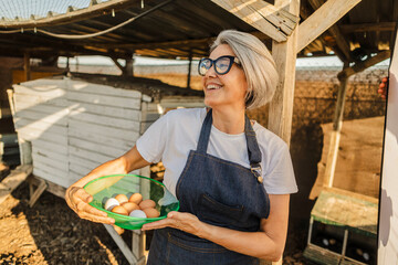 Senior woman holding fresh organic eggs at chicken coop
