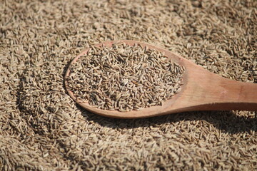 cumin seeds in spoon