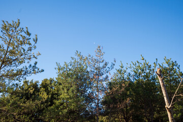日本の兵庫県赤穂市の雄鷹台山の美しい景色