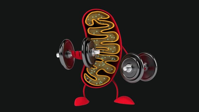 Fun 3D cartoon mitochondria (with alpha channel)