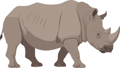 Obraz premium African Rhinoceros Standing Side View Wildlife Animal Illustration