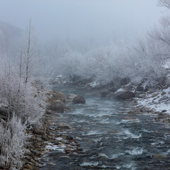 Landscape, trees, snow, kar, travel, forest, road, river, stream.
