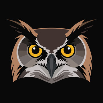 Detailed illustration of a majestic owl face with large yellow eyes and sharp features against a solid black background at night.