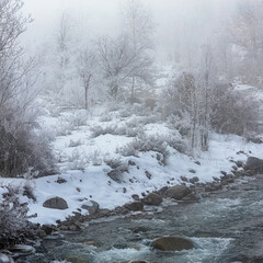 Landscape, trees, snow, kar, travel, forest, road, river, stream.