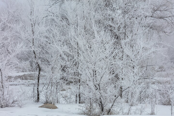 Landscape, trees, snow, kar, travel, forest, road, river, stream.