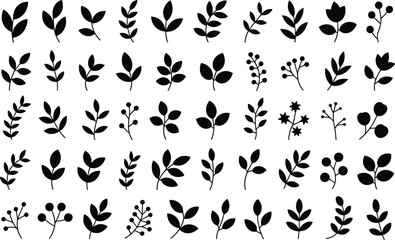 Fototapeta premium Black and white leaf and plant on white background