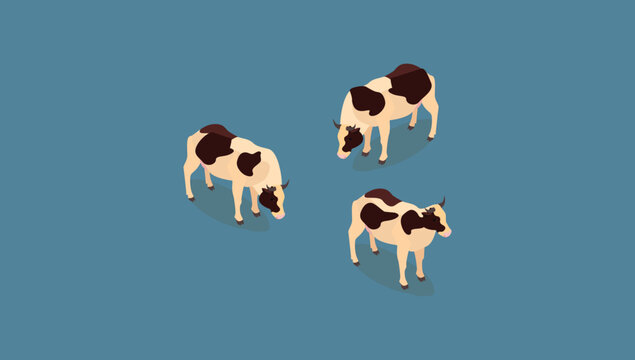 Three Isometric Cows Farm Animal Illustration Asset