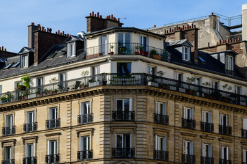 Sunlit Haussmann-style apartment building on Ile Saint-Louis in Paris, featuring wrought iron balconies and a spacious rooftop terrace adorned with potted plants and greenery.