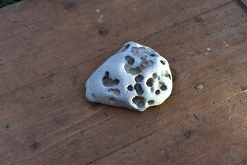 Naturally formed hagstone with erosion holes