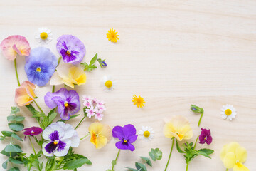 春の花のフラワーフレーム