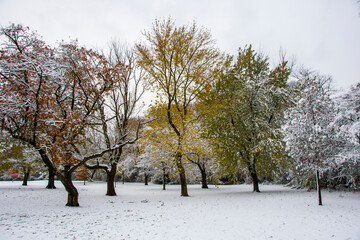 Ned Brown Preserve (Busse Woods) view with snow and autumn colors in Arlington Heights Town of Illinois