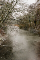 Snow Covered Tree Branches Over Frozen Park Waterway