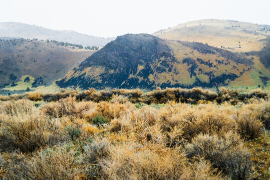 Oregon high desert with sagebrush in the winter