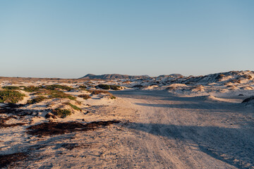 Golden light over sandy dunes and volcanic hills in Fuerteventura