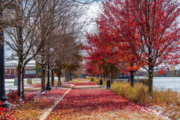 Elgin Town Park view with autumn colors in Illinois of USA