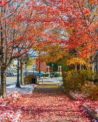 Elgin Town Park view with autumn colors in Illinois of USA
