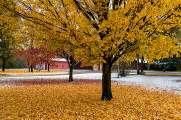 Blackhawk County Forest Preserve with autumn colors in South Elgin Town of Illinois