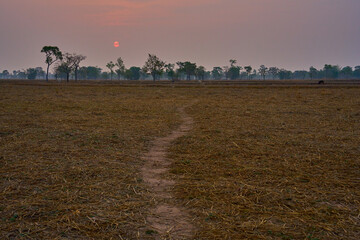 peaceful morning in rural countryside
