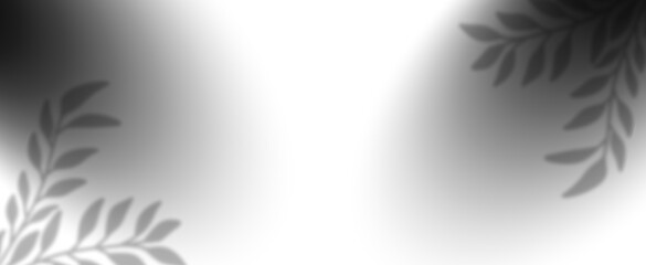 Gray transparent abstract background vector for products presentation . Abstract design background abstract floral background