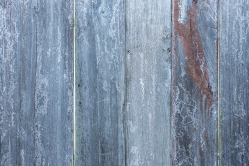 Old painted wood wall - texture or background for your concept or project.